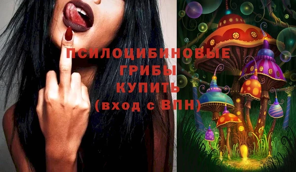 ешки Кукмор