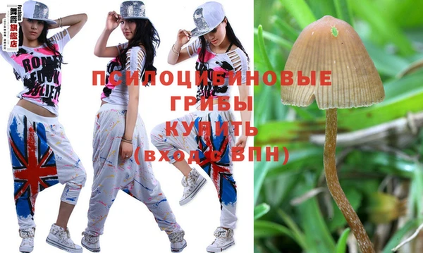 ешки Кукмор