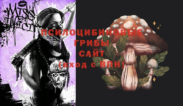 альфа пвп Куйбышев