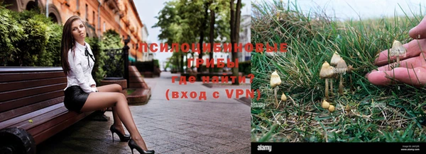 альфа пвп Куйбышев