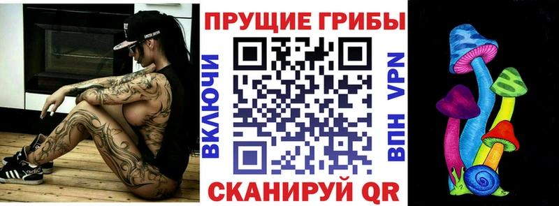 где купить наркоту Сухой Лог blacksprut рабочий сайт Галлюциногенные грибы прущие грибы